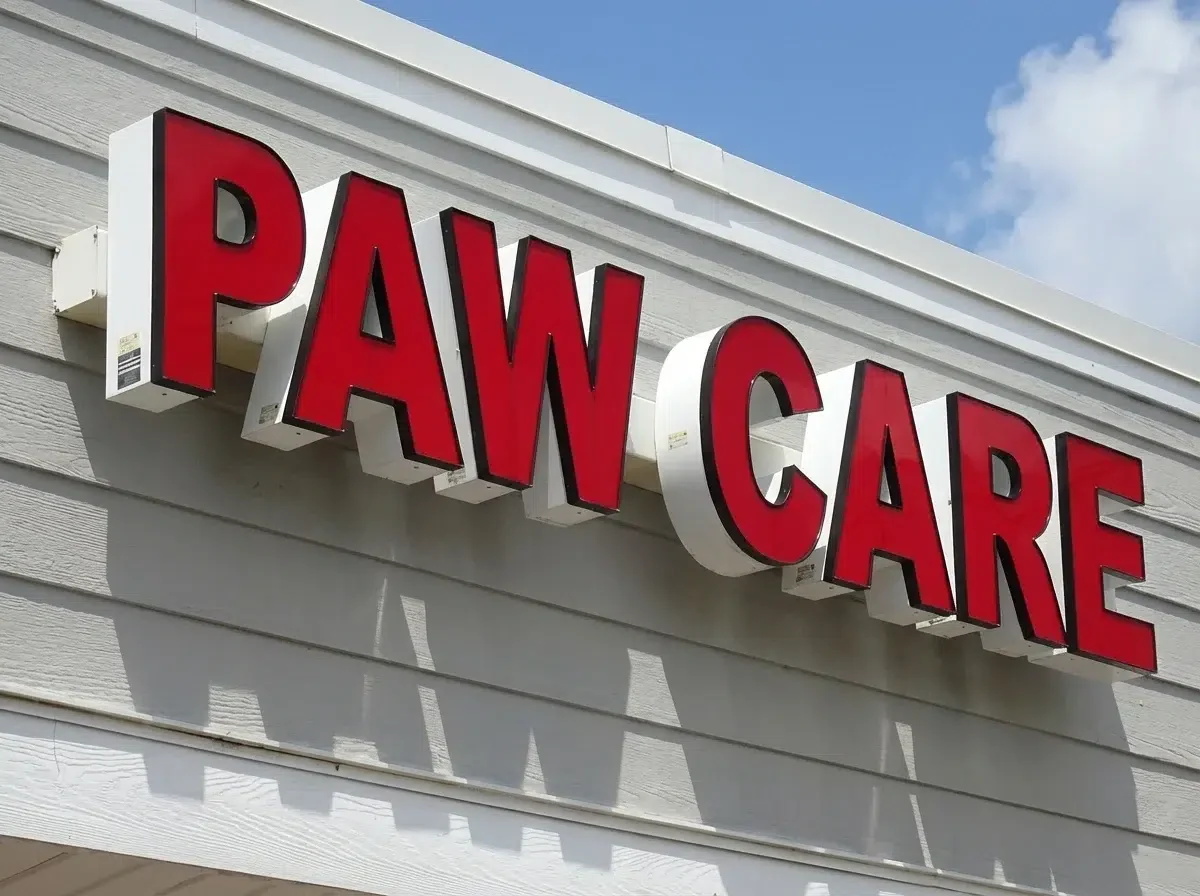 Front_Lit_Channel_Letters__Outdoor_Exterior_Storefront_Channel_Letters__Corporate_Professional_Medical_Healthcare__46